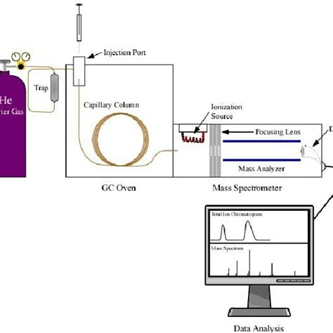 Gc Ms Schematic Diagram