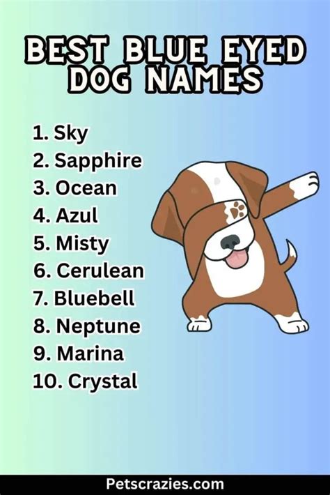 300+ Blue Eyed Dog Names (Perfect Puppy Monikers)