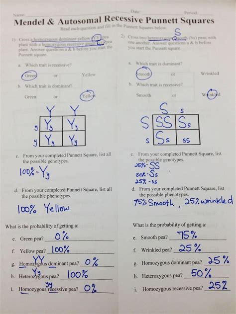 Practice Punnett Squares Worksheet