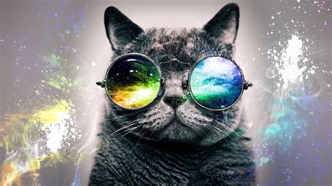 Galaxy Cat Wallpaper - WallpaperSafari