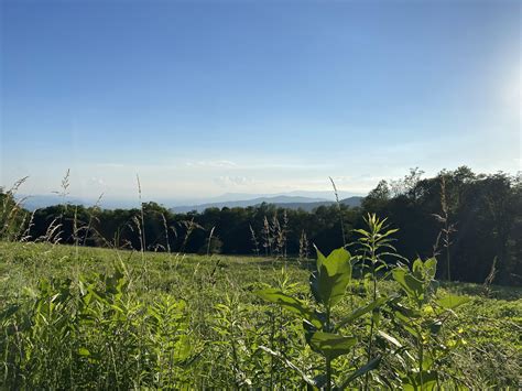 Skyline Drive - Shenandoah National Park : r/NationalPark