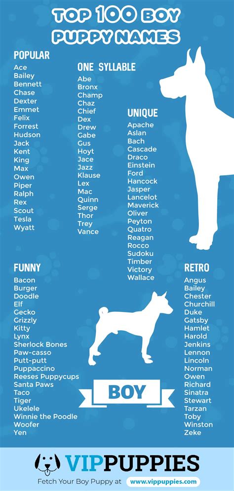 cute dog names