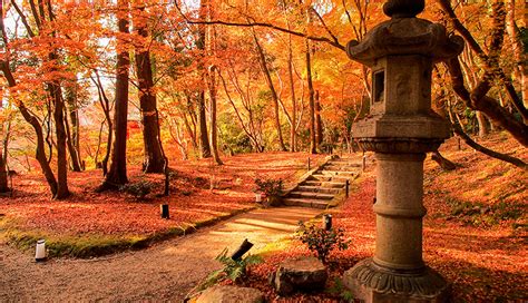 3 Prime Spots To See Japan’s Fall Foliage – Forbes Travel Guide Stories