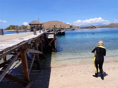 Snorkeling on Komodo Resort's House Reef | Snorkeling in Indonesia