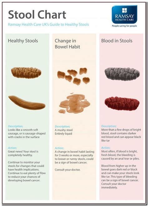 What Does Fat Look Like In Your Stool - What Does