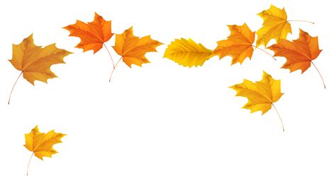 Autumn leaf color Clip art - Falling Leaves Transparent Background png ...