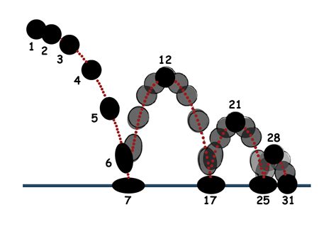 Advanced Bouncing Ball | timstrain