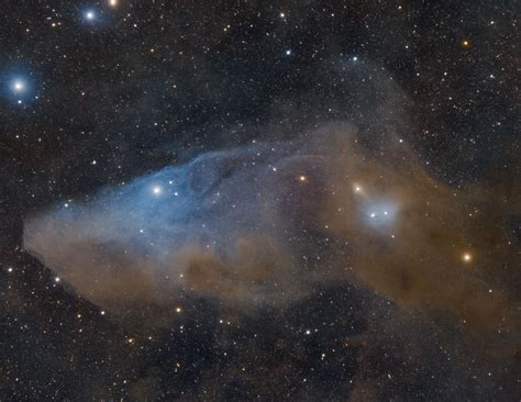 The Blue Horsehead Nebula | Pictures, Facts, and Location