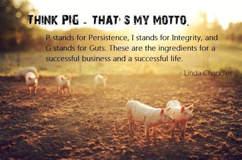 Inspirational Quotes About Pigs. QuotesGram