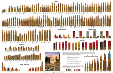 List Of Short Action Calibers