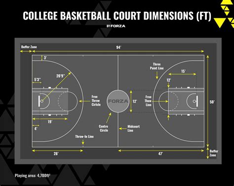 Basketball Court Dimensions & Lines Guide (2024)