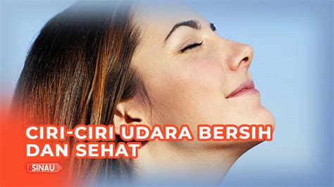 Polusi Udara Semakin Memburuk, Berikut Ciri-Ciri Udara yang Bersih dan ...