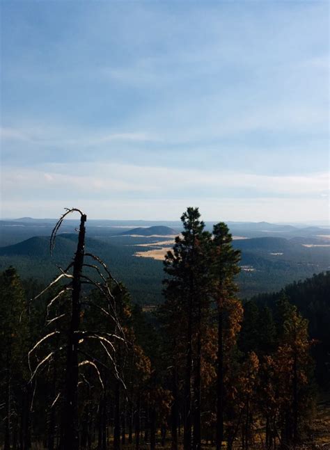 The Top 10 Hiking Trails in Flagstaff, Arizona - Hike The Planet!