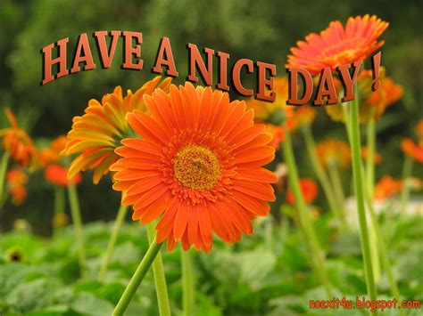 Have A Nice Day Wallpaper - WallpaperSafari