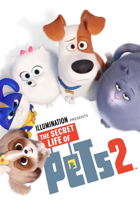 The Secret Life of Pets 2 | Cox On Demand