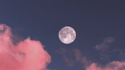 [1300+] Moon Wallpapers | Wallpapers.com