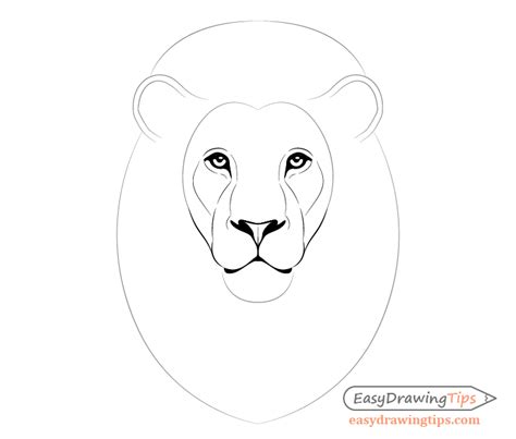 How to Draw Lion Face & Head Step by Step - EasyDrawingTips