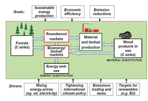 Sustainable bioenergy production (Pingoud & Forsstöm 2009). | Download ...