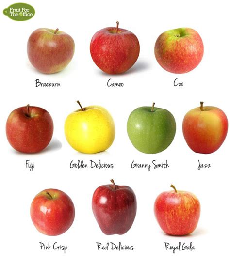 Types Of Apples Chart