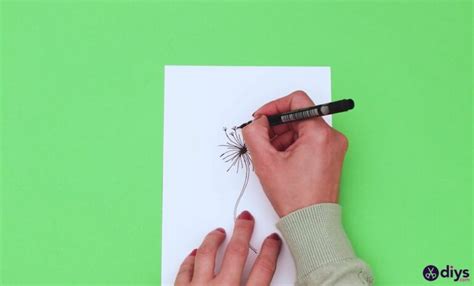 How to Draw a Simple Dandelion in 5 Easy Steps