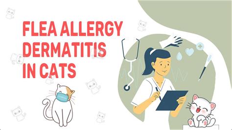 Flea Allergy Dermatitis In Cats - Symptoms & Treatment - Petmoo