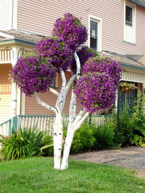 63+ Lovely Flowering Tree Ideas For Your Home Yard | Planting flowers ...