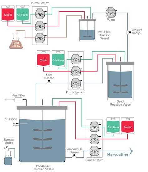 Fermentation Process Flow Diagram