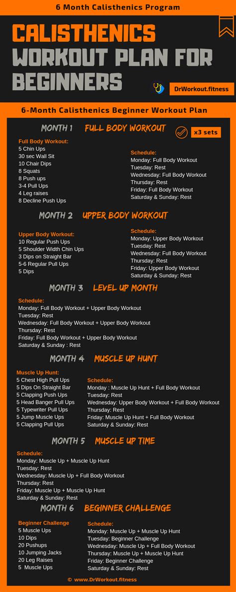 Beginner Calisthenics Workout Plan No Equipment