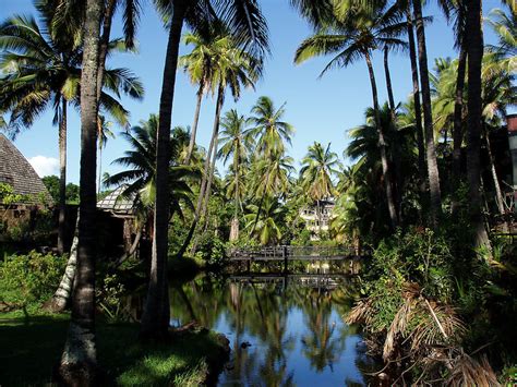 Coco Palms Hotel Kauai Photos - Delan Nelson Photography