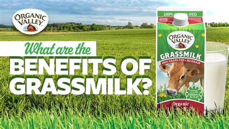 Grass-fed Dairy — The Original Plant-based Milk, 41% OFF