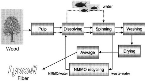 The Lyocell process in general. | Download Scientific Diagram