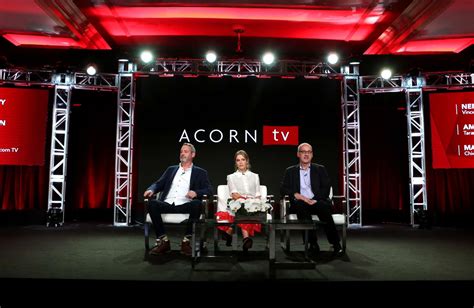 Amy Huberman: Acorn TV Striking Out TV Show Panel -11 | GotCeleb