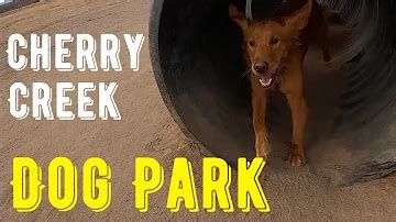 Cherry Creek Dog Park