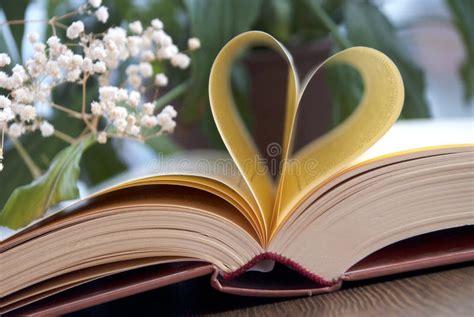 Love and book stock photo. Image of imagination, ideas - 99512786