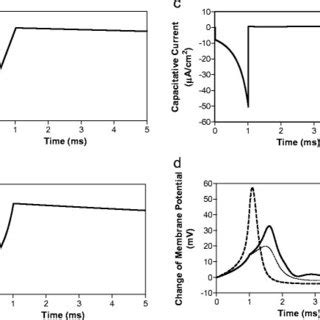 Unmyelinated axon model to simulate action potential generation by ...