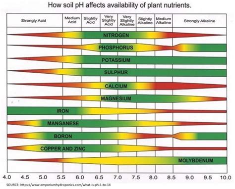 Having problems with plants? Check your soil pH first - Memphis Area ...