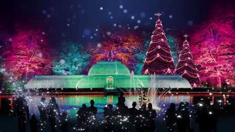 Kew Gardens Winter Wonderland | Total Sound Solutions