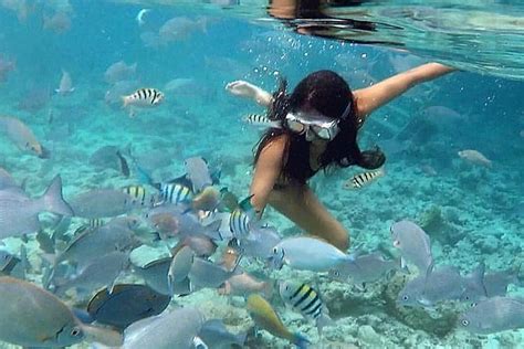 Full-Day Culebra And Flamenco Beach Snorkel Tour From San Juan: Triphobo