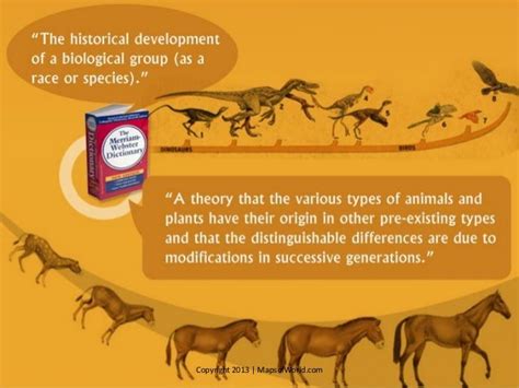 Is The Theory Of Evolution True? - Facts & Infographic