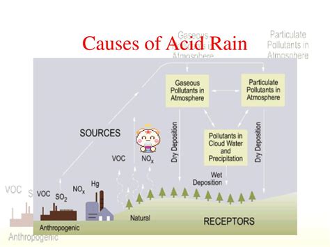 What Causes Acid Rain