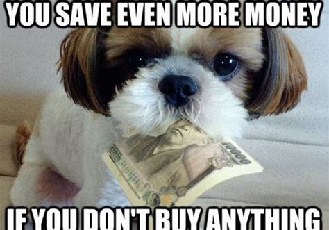 Funny Quotes About Saving Money. QuotesGram