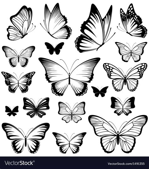 Butterfly Vector Silhouette