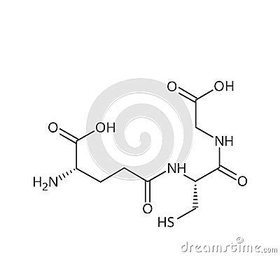 Glutathione Structural Formula Of Molecular Structure Vector ...