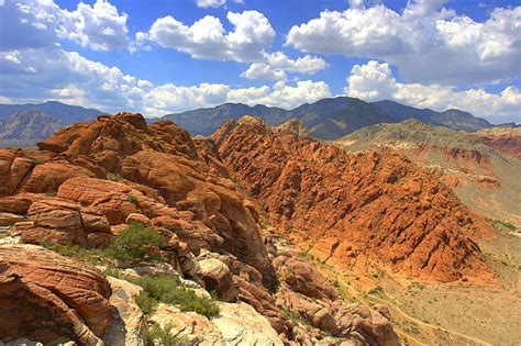 Mojave Desert - Wikipedia