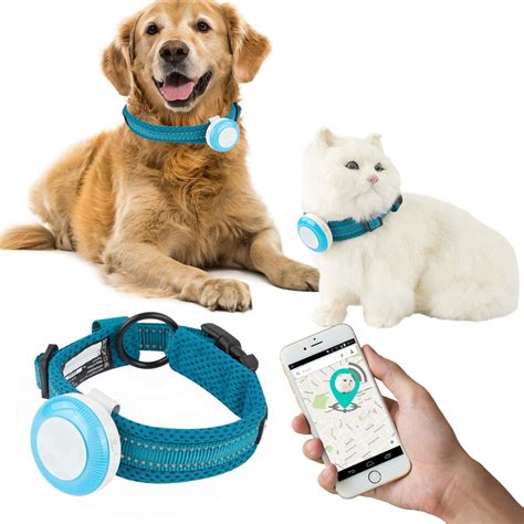 Best Cat GPS Collar- Top 3 - BirmanCatsGuide.com