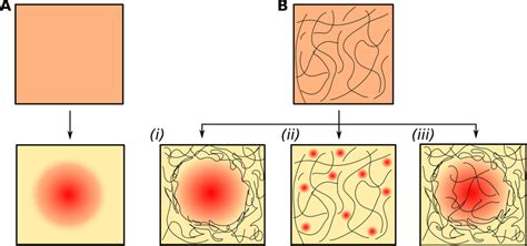 A. Liquid-liquid phase separation (LLPS) from an initially mixed phase ...