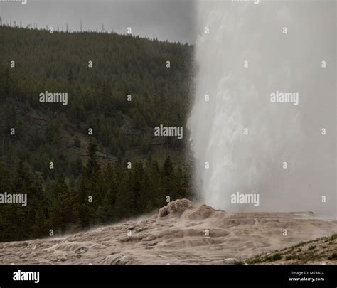 Old Faithful Geyser Stock Photo - Alamy