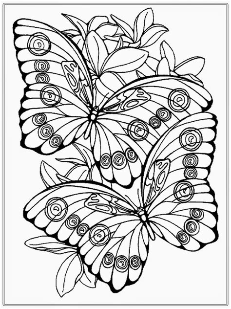 Adult Coloring Pages Butterfly Realistic Coloring Pages