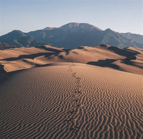 Mojave Desert | FREEYORK