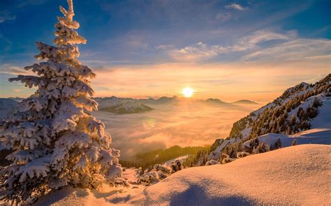 Snow Sunrise Wallpapers - 4k, HD Snow Sunrise Backgrounds on WallpaperBat